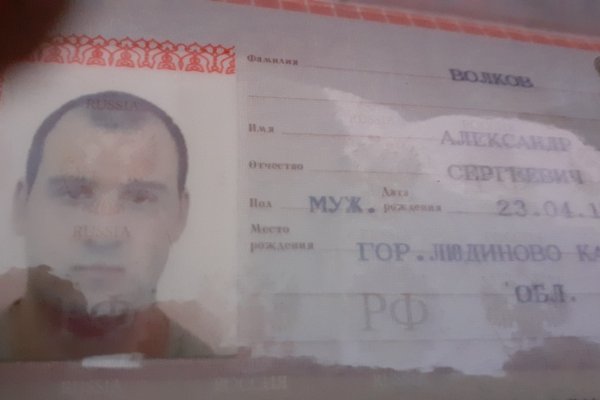 Кракен даркнет купить